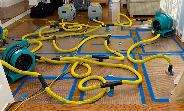 Professional Basement Flood Cleanup technician working in Harlem, GA